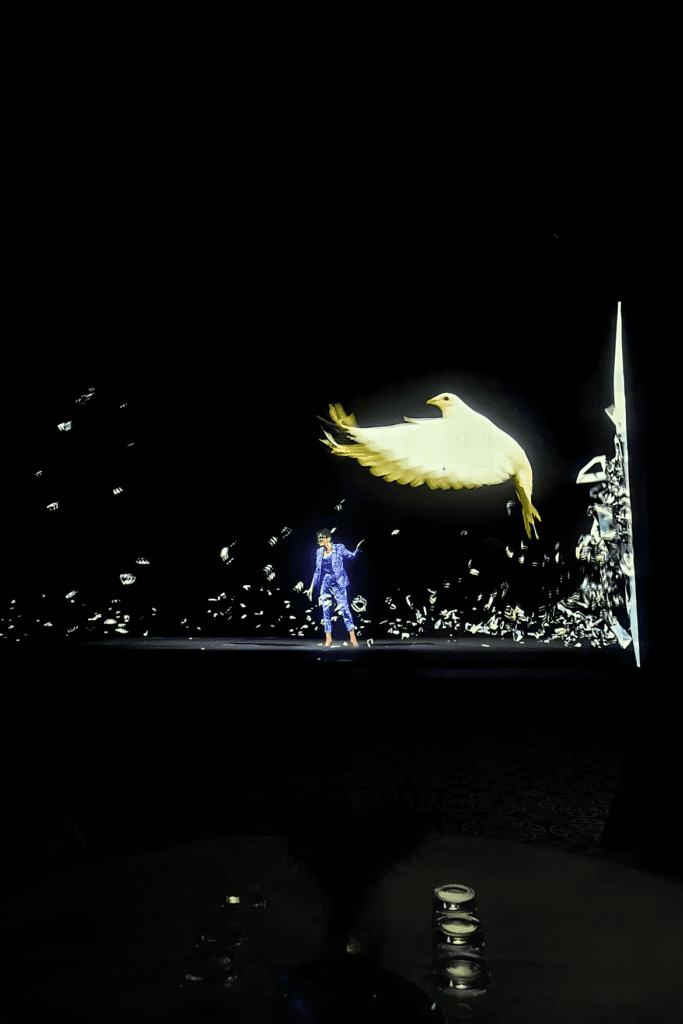 Immersive Experience, Sylvie di Giusto 5