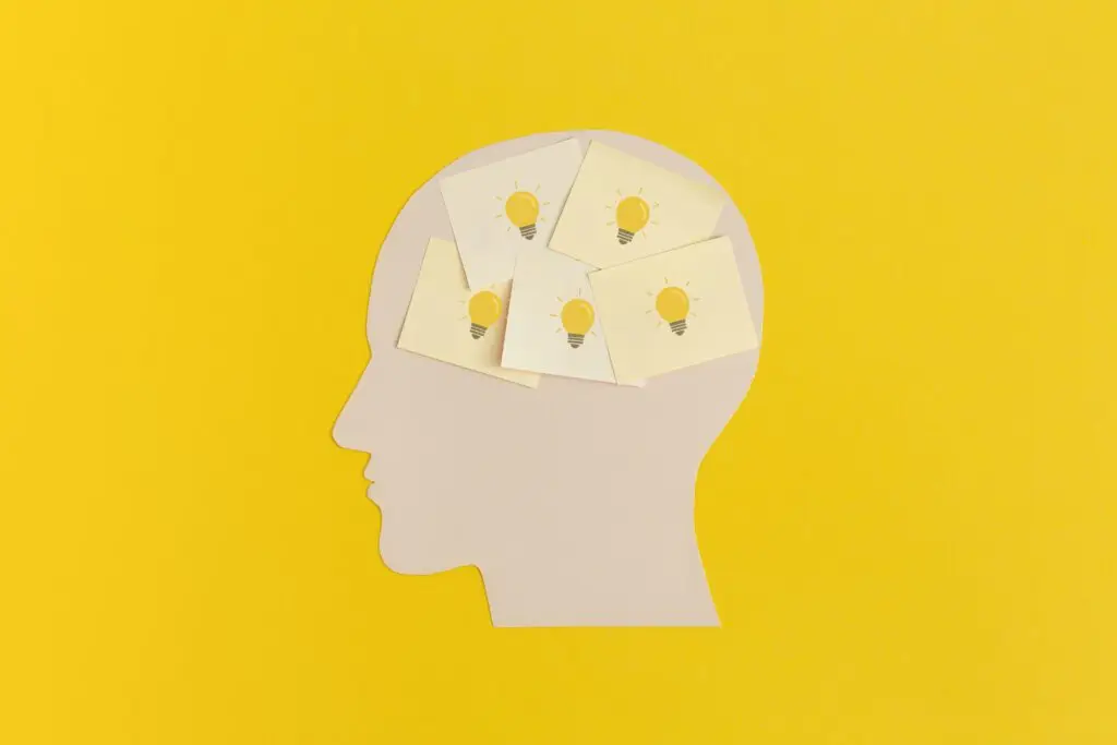 Pick my brain